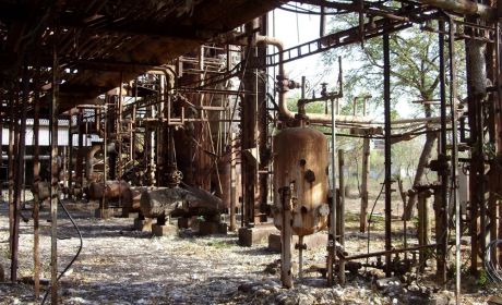 Teren fabryki w Bhopalu po katastrofie  fot. Julian Nyča / Wikipedia (CC BY-SA 3.0)