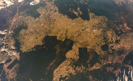 Wylesienie Amazonii widoczne na zdjęciu satelitarnym  fot. Astro_Alex / Flickr / Wikipedia (CC BY-SA 2.0)